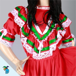 Disfraz Vestido Regional